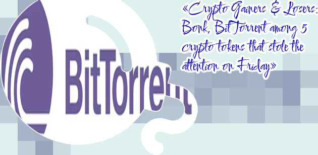 Bit torrent stock