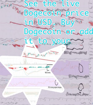 Dogecoin value chart