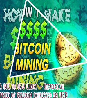 How much is 5 bitcoin