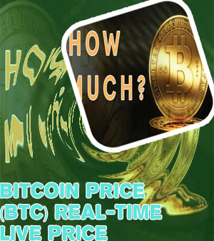 How much is bitcoin in dollars