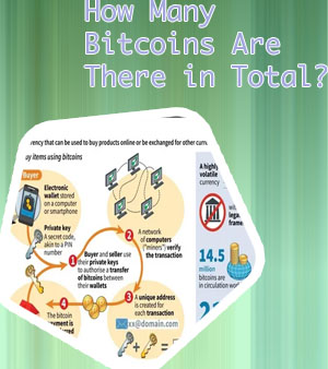 Maximum number of bitcoins